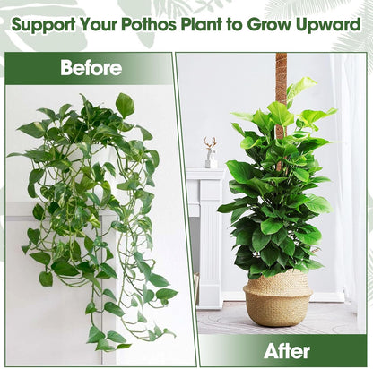 2 Pack Moss Pole, 63 Inch Bendable Moss Poles for Plant Monstera, Tall Plant Support Stakes for Climbing Plants Indoor, Coco Coir Plant Stick Support Kit for Potted Plants, Pothos, Philodendron