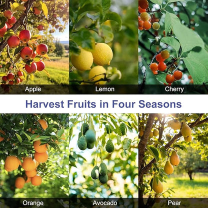 Numola Fruit Picker Pole with Basket, 10.3FT Adjustable Pole with 2 Strawberry Bags for Orange, Lemon, Avocado, Mango, Cherry, Apple, Pear, Apricot, Limes, Peach, Plums, Persimmons Tree Picker, Blue