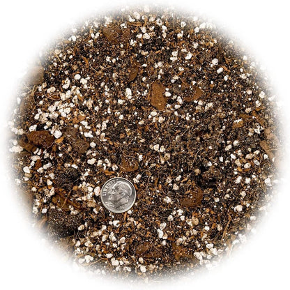 GARDENERA Premium Spider Plant Potting Soil Mix (2 Bags of 5 Quart)