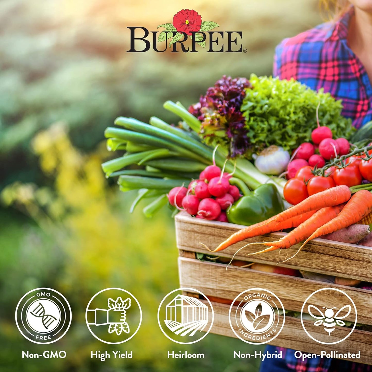 Burpee Heirloom Vegetable Seeds, Variety Pack with 35 Varieties of Plant Seeds, 30,000+ Garden Seeds - Mixed Non-GMO Seeds with Select Varieties of Lettuce, Beans, Tomatoes, Peppers, Squash and More