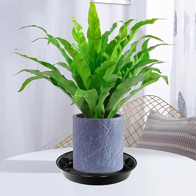 Plant Saucer, Plant Saucers 10 inch 2 Pieces, Plant-Saucers