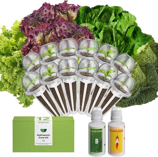 inbloom Salad Romaine Lettuce Seed Pod Kit for AeroGarden, Ahopegarden Hydroponics Growing System
