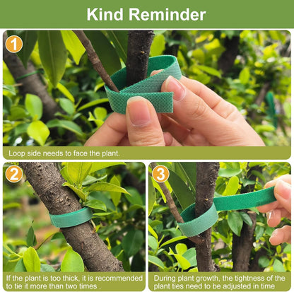 SumDirect Plant Tape 150 ft Plant Ties for Climbing Plants Garden Twist Ties Plants Adjustable Reusable Hook and Loop Tape for Plants, Flowers, Vines and Tree (150 ft x 1/2 in)