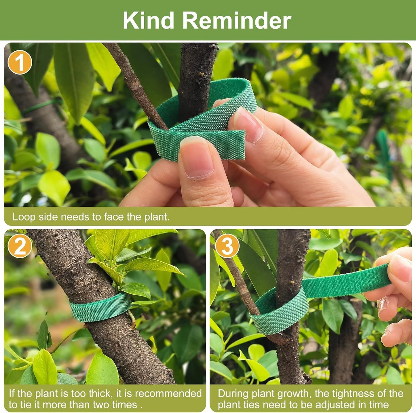 SumDirect Plant Tape 100 ft Plant Ties for Climbing Plants Garden Twist Ties Plants Adjustable Green Garden Tape for Plants, Flowers, Vines and Tree (100 ft x 1/2 in)