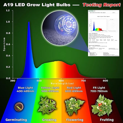 Full Spectrum Plant Grow Light Bulbs E26 A19 10W,Plant Growing Lamp Bulbs with Balanced Spectrum 5000K White Blue Red Yellow for Indoor Seeds Greens Laboratory Greenhouse Garden Hydroponic,2Pcs