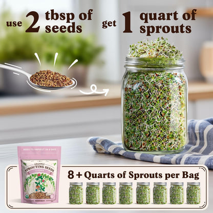 Seedboy Organic Non-GMO Clover Seeds for Sprouting - USA Grown Microgreens Sprouting Seeds - 8 oz Bag Makes 8 Quarts / 24 Servings (Red Clover)