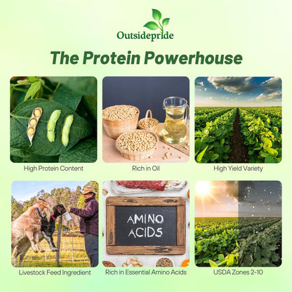 Outsidepride Soybean Seeds - 10 lbs High-Protein & High Yield Heirloom Variety Soy Beans, Ideal for Oil Processing, Forage, Animal Food Plots, & Wildlife Feed for Poultry & Other Farm Animals