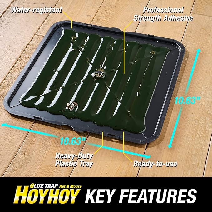 HOY HOY Rat & Mouse Jumbo Size Glue Trap 6 Traps [3-Pack] - Heavy-Duty Professional Strength Ready-to-Use Rodent Pest Control, Great for Home with Kids & Pets Indoor Household Pests