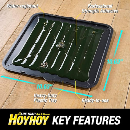 HOY HOY Rat & Mouse Jumbo Size Glue Trap 6 Traps [3-Pack] - Heavy-Duty Professional Strength Ready-to-Use Rodent Pest Control, Great for Home with Kids & Pets Indoor Household Pests