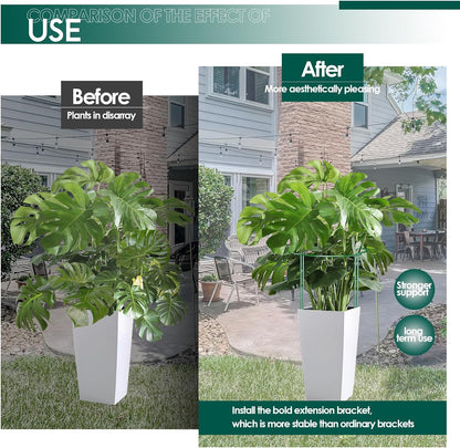 12 Pack Garden Plant Support Stakes, Half Round Peony Cages and Supports, Metal Garden Support Ring, Border Support for Outdoor Indoor Plants, Peony, Hydrangea,Tomato, Monstera