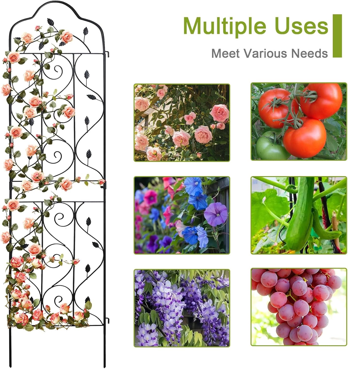 hogardeck 4 Packs 72 * 18 inch Metal Garden Trellis for Climbing Plants Outdoor,Heavy Duty,Black Coating Rustproof Trellis for Rose, Vegetable, Flowers, Expandable,Perfect for Training Climbing Plants