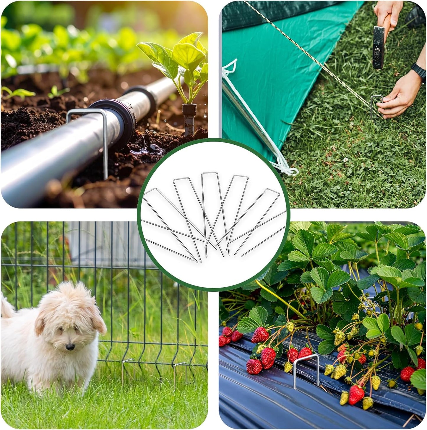 6 Inch Galvanized Landscape Staple, 11 Gauge Heavy Duty Garden Stakes for Barrier Fabric, Plant Stakes Ground Anchors 25 Pack