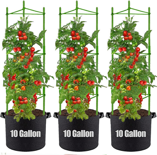Tomato Cages with 10 Gallon Grow Bags, 48 Inches Garden Tomato Planter, 3-Pack Tomato Trellis for