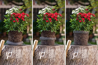 5pcs 5 Gallon Gopher and Vole Wire Baskets Protect Plants, Trees, Flowers and Bulbs from Voles, Gophers and Moles