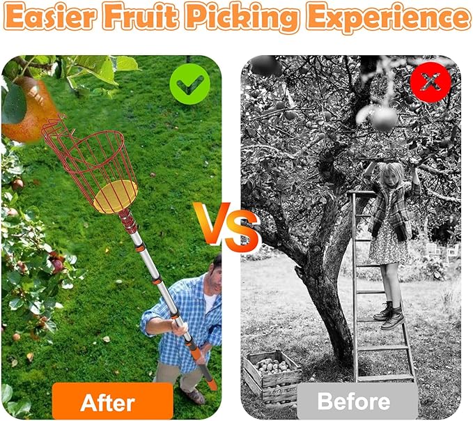 SISIUPASSIE 26FT Reach Fruit Picker, Apple Picker Pole with Basket Telescoping Tool for Apple Lemon Orange Mango Avocado Fruit Tree Picking