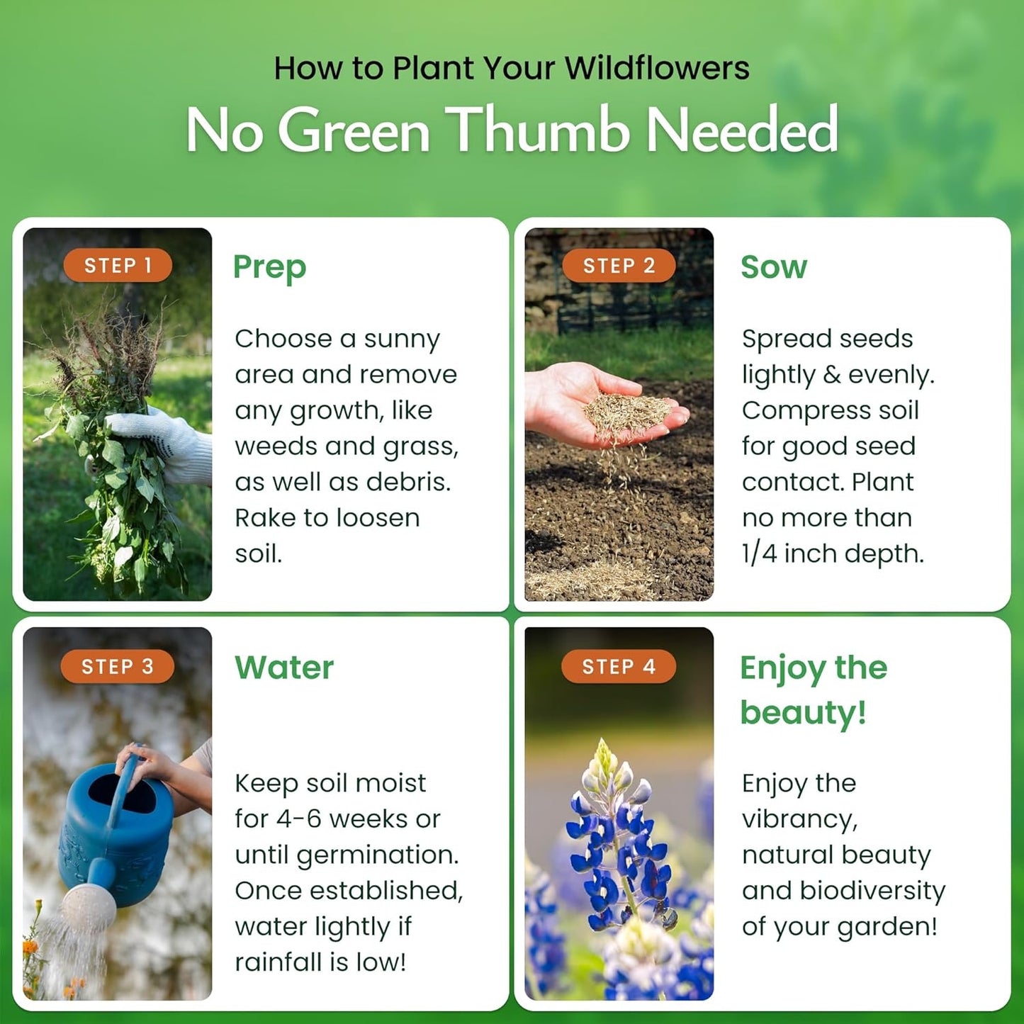 Created By Nature Texas Wildflower Seed Mix with Texas Bluebonnet Seeds, 17 Flower Varieties, 60,000+ Seeds