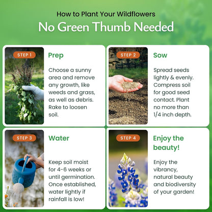 Created By Nature Texas Wildflower Seed Mix with Texas Bluebonnet Seeds, 17 Flower Varieties, 60,000+ Seeds