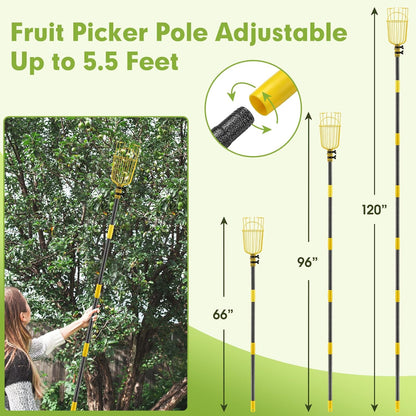INFLATION Fruit Picker Tool,Apple Picker Pole with Basket,5.5 FT Adjustable Fruit Picker Pole with Basket Telescoping,Sturdy Basket with Foam Pad for Picking Avocado Acorn Lemon Pear Mango……