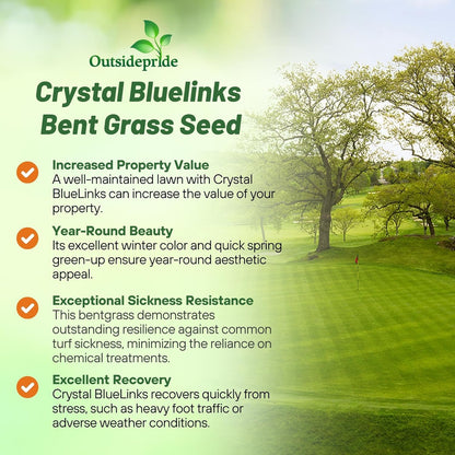 Outsidepride Crystal Bluelinks Creeping Bent Grass Seed - 1 lb. Dense Turf Grass for Golf Greens & Putting Surfaces, Fine-Textured, Tolerant to Close Mowing for Smooth, Consistent Lawn Coverage