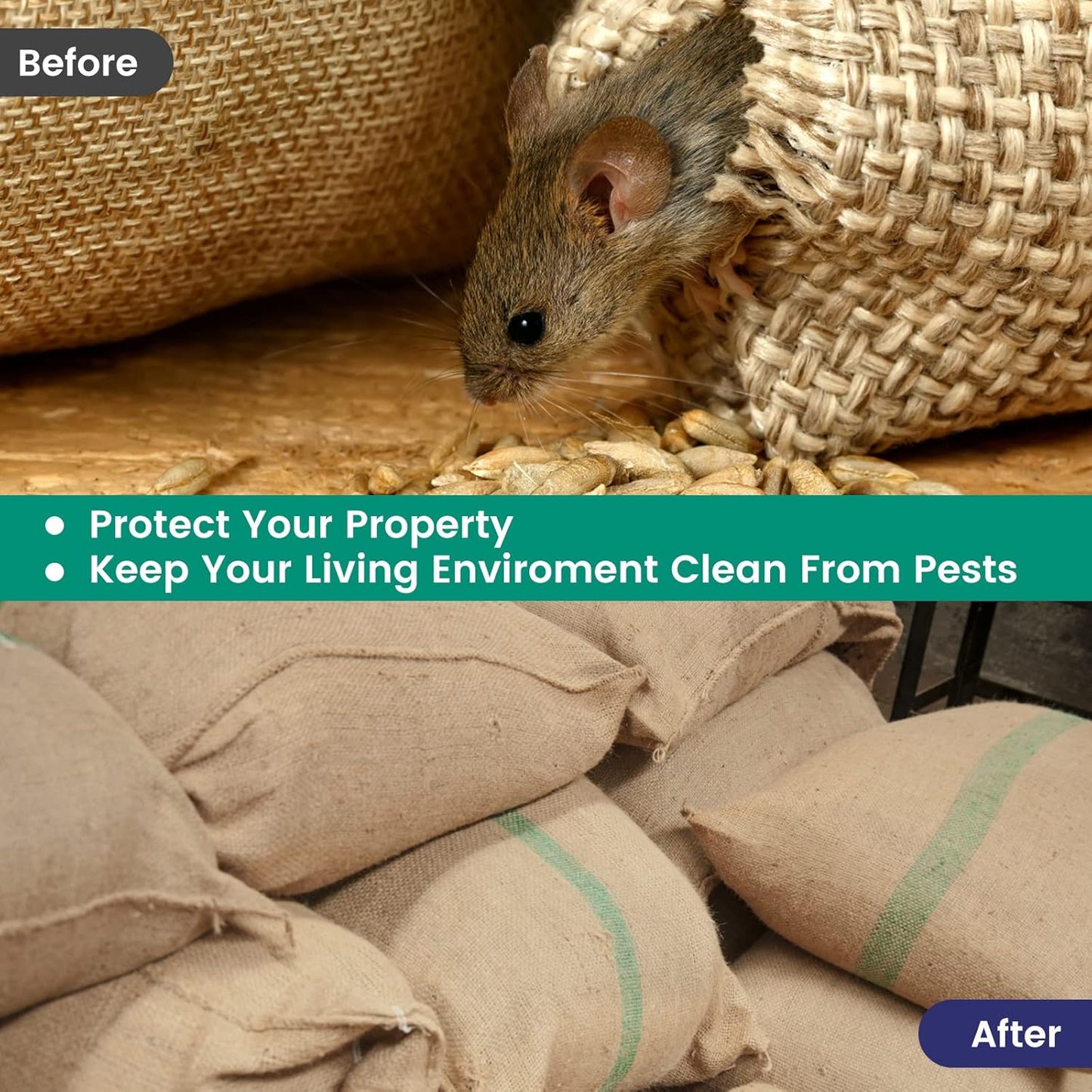 ELEGENZO Mouse Repellent Pouches with Peppermint Oil - Repels Mice, Rats, Squirrels, Roaches, Ants, Spiders, Moths (1 Count (Pack of 10))