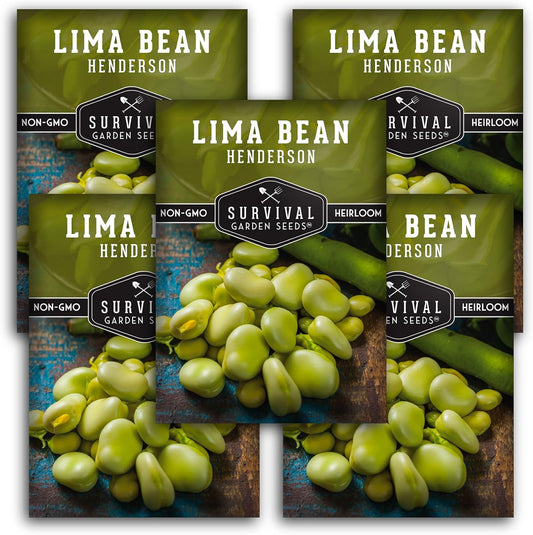 Lima Bean Seeds for Planting – Henderson Butter Bean Seeds for Gardens & Classroom Science Projects, Easy to Grow Non-GMO Heirloom Variety - Survival Garden Seeds (5 Packs)