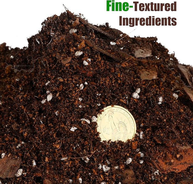 Organic Money Tree Soil Mix 4qt, Indoor Plants Potting Mix for All Potted Money Tree, Grow Healthy houseplants Indoors