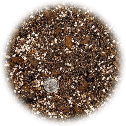 Gardenera Bromeliad Planting Mix - Promote Robust Root Development and Lush Foliage - 4 QUARTS