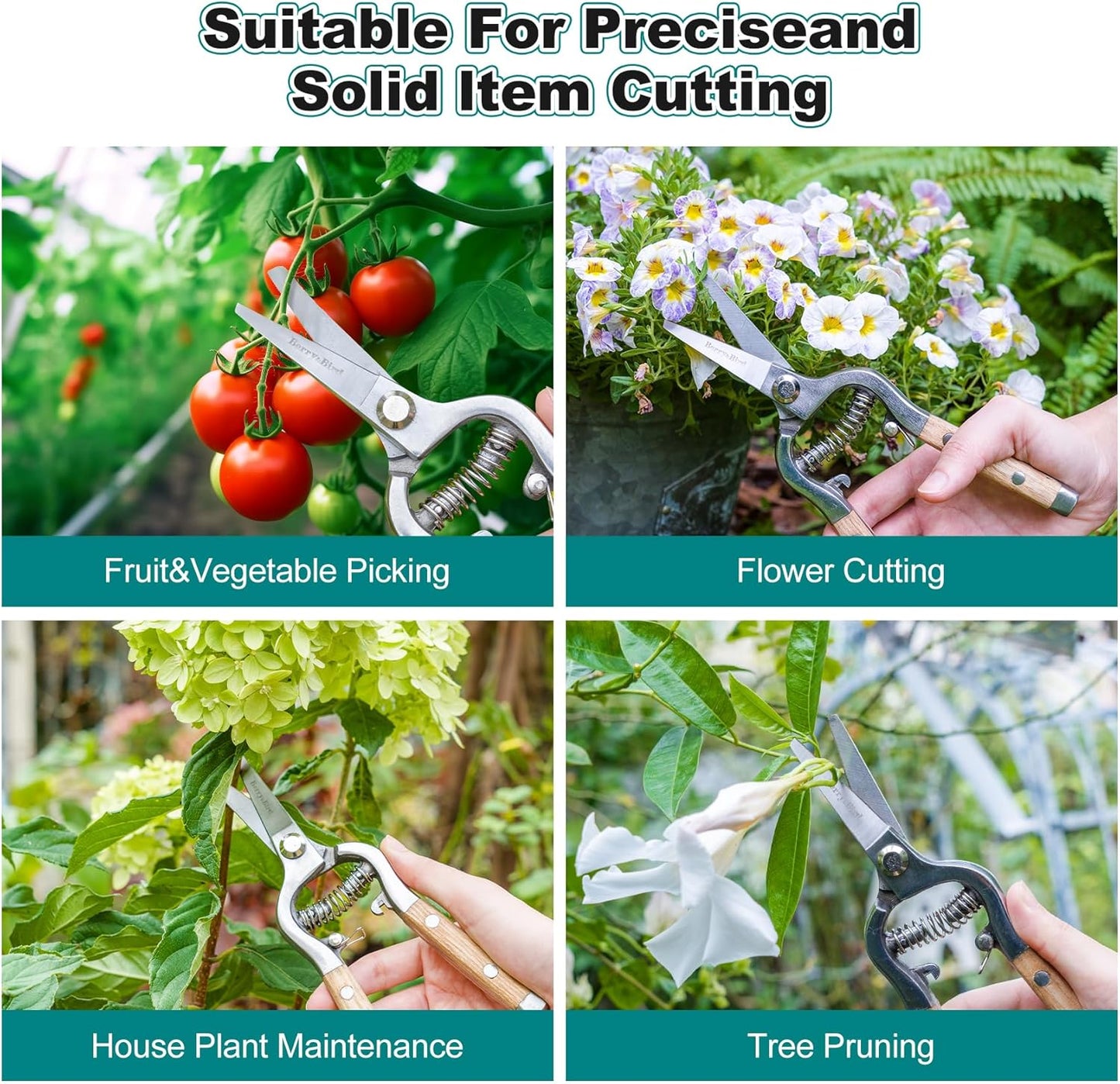 Berry&Bird Straight Pruning Shears with Stainless Steel Blades Garden Hand Pruner 8'' Scissors with Wooden Handle Clippers for Gardening Trimming Cutting Bonsai
