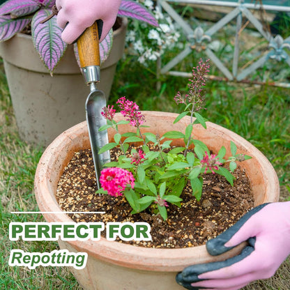 Haliaeetus Seeding Widger with 6'' Scale, Stainless Steel Planting Trowel for Repotting, Long and Narrow Widger for Weeding from Tight Areas, Hand Transplanter with Wood Handle for Planting, Digging