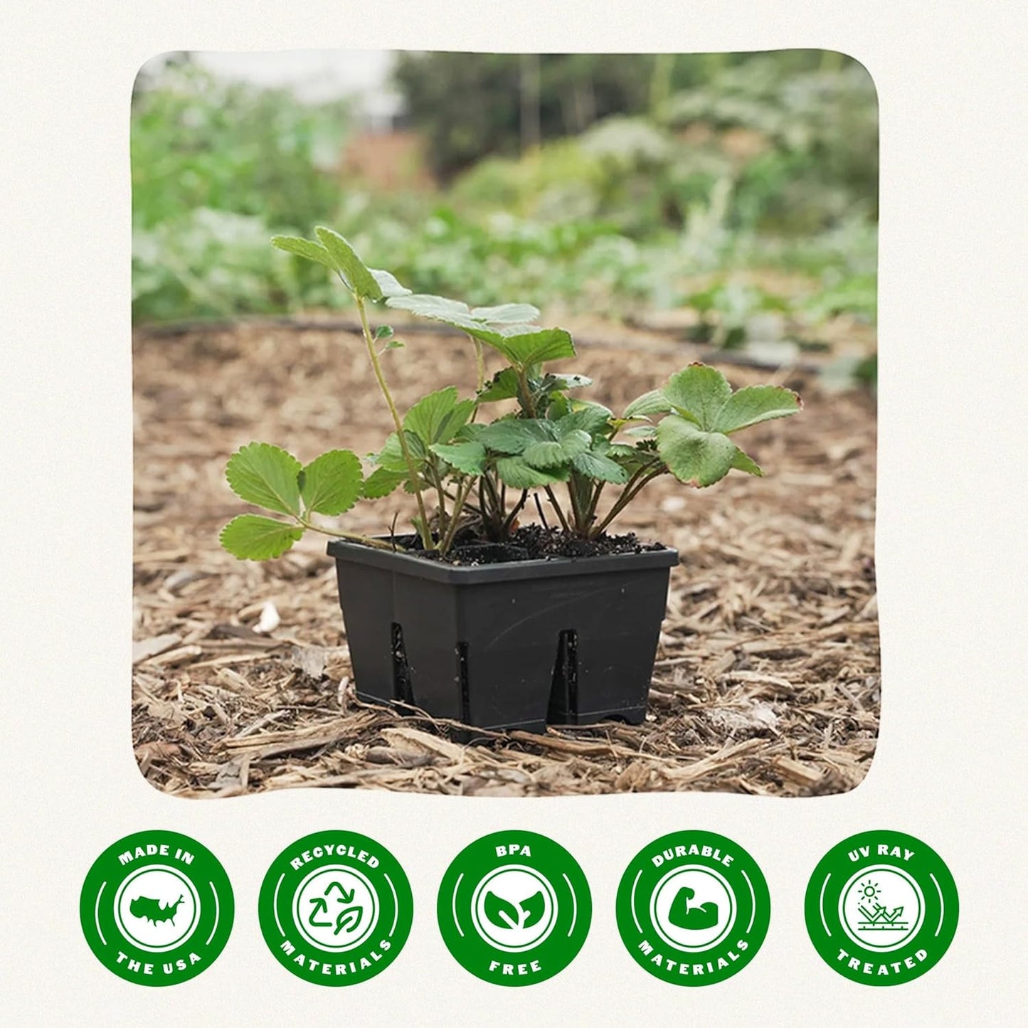 Epic Gardening Reusable Seed Starter Tray - Easy Watering Seed Starting Trays - Gardener Friendly Plant Trays for Seedlings | UV-Treated & BPA-Free -4-Cell 3" Seed Starting Trays - Black / 4 Trays