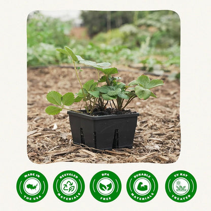 Epic Gardening Reusable Seed Starter Tray - Easy Watering Seed Starting Trays - Gardener Friendly Plant Trays for Seedlings | UV-Treated & BPA-Free -4-Cell 3" Seed Starting Trays - Black / 4 Trays