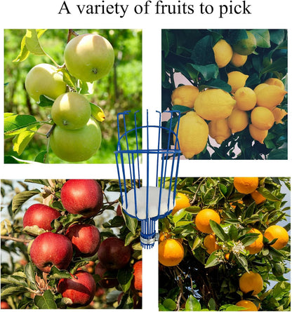 Fruit Picker Basket Only Twist-On Standard US Threaded Pole Integrated Non-Detachable Harvesting Tool Head with Protected Foam Cushion for Apple Peach Mango Pear, Blue(Pole Not Included)