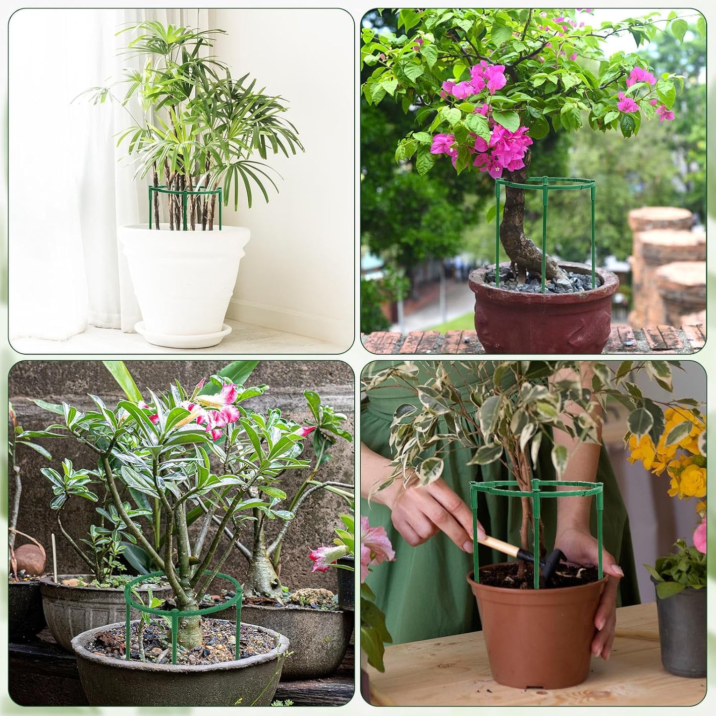 12 Pack Plant Support Stakes, 6.3 x 9.8 Inch Plastic Plant Cage Holders, Half Round Plants Support, Garden Flower Stakes for Indoor Outdoor Climbing Plants Vegetable Flower Pot