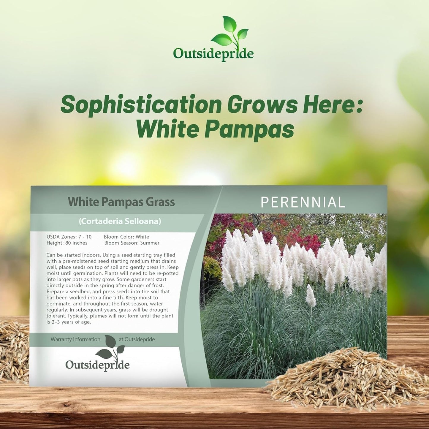 Outsidepride White Pampas Grass Seeds – 2,000 Pcs. Perennial, Drought-Tolerant Ornamental Grass for Large Garden Borders, Privacy Landscaping, Xeriscaping, and Low-Maintenance Outdoor Spaces