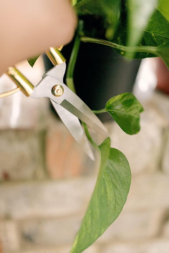 Premium Houseplant Scissors and Pruning Shears by Houseplant Resource Center | Ergonomic, Sharp & Durable Garden Clippers for Plant Care - 100% Stainless Steel Construction