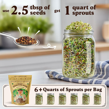 Seedboy Organic Non-GMO Sprouting Seeds, Longevity Blend – USA Grown Microgreens Mix with Broccoli, Red Kale, Black Kale, Alfalfa - 8 oz Bag Makes 6 Quarts / 20 Servings (Longevity Blend)