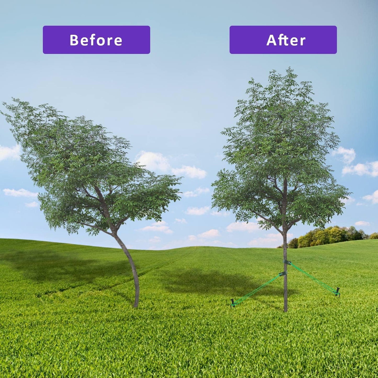 15.8-Inch Extra-Long Heavy Duty Steel Tree Stake Kits,Tree Staking and Support Kits for Young Tree Against Bad Weather,Include 3 PCS 15.8" Tree Straps, 3 PCS 15.8" Tree Stakes and 31.2 FT Rope
