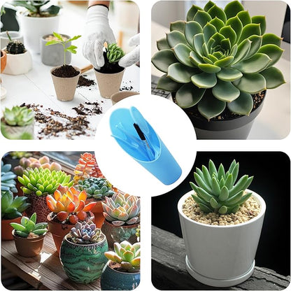 5Pcs Mini Succulent Tools Set, Plastic Garden Hand Tools Kit for Indoor Plant Care, Succulent Bonsai Miniature Garden Tool Set,Small Gardening Tools for Transplanting Digging Planting, Blue