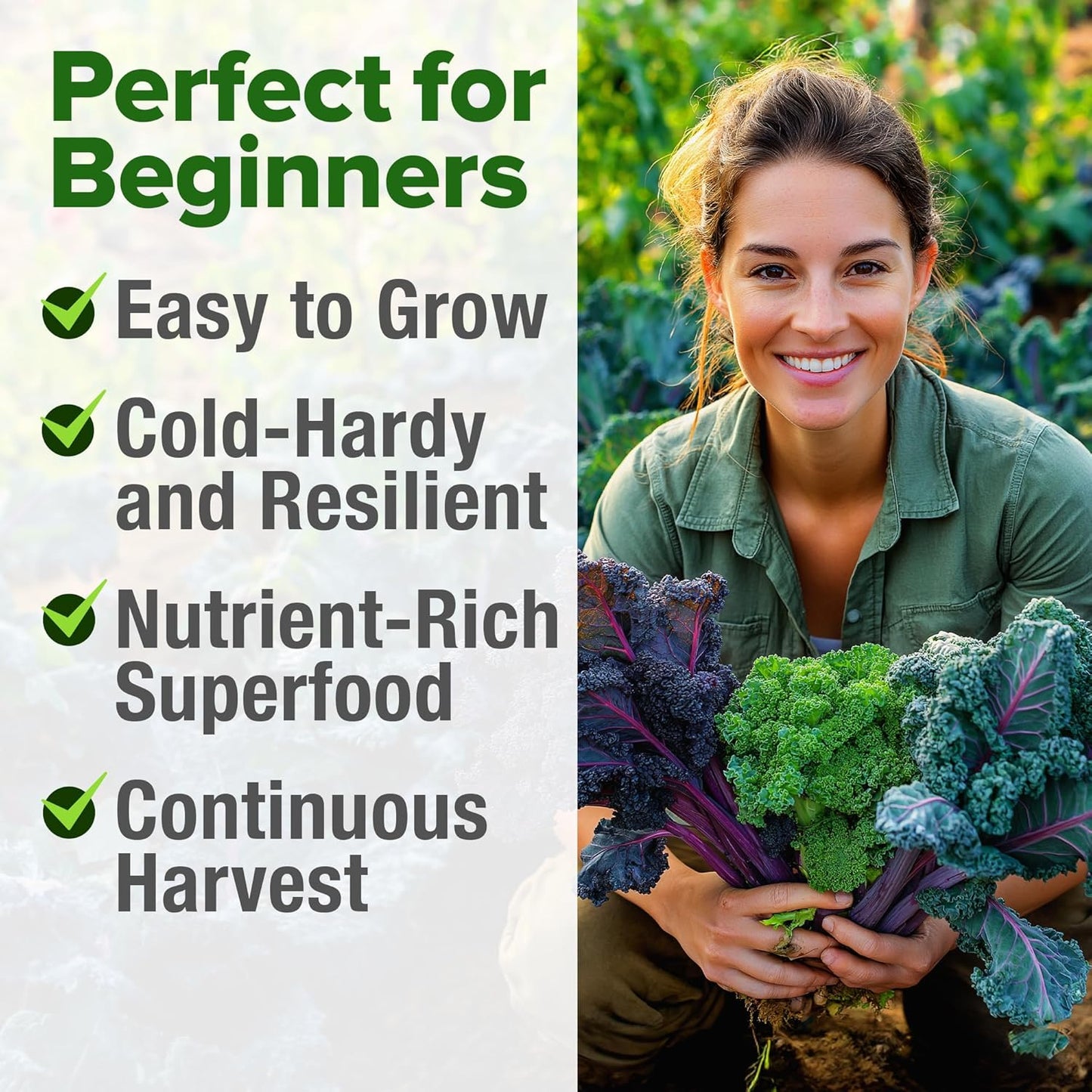 HOME GROWN 𝗨𝗦𝗔 𝗣𝗥𝗘𝗠𝗜𝗨𝗠 Heirloom Vegetable Seeds 𝗡𝗢𝗡-𝗚𝗠𝗢 Vegetable Seeds for Planting Home Garden, Beans, Carrots, Peppers, Cucumber, Kale, Pepper Seeds, Tomato (4 Kale)