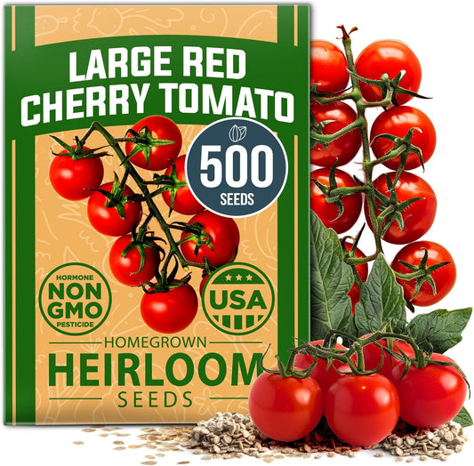 HOME GROWN Large Red Cherry Tomato Seeds Pack– 500 High Germination Heirloom Seeds – 𝗡𝗢𝗡-𝗚𝗠𝗢 𝗨𝗦𝗔 Vegetable Seeds for Garden,Homestead & Self-Sufficient Growing(Solanum lycopersicum)