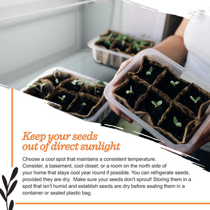 Seed Starter Kit – Harvest Garden | Non-GMO | Heirloom Seed Packets | Natural Wood Row Markers | Sustainable Healthy Living | Thanksgiving Garden | Fall Harvest