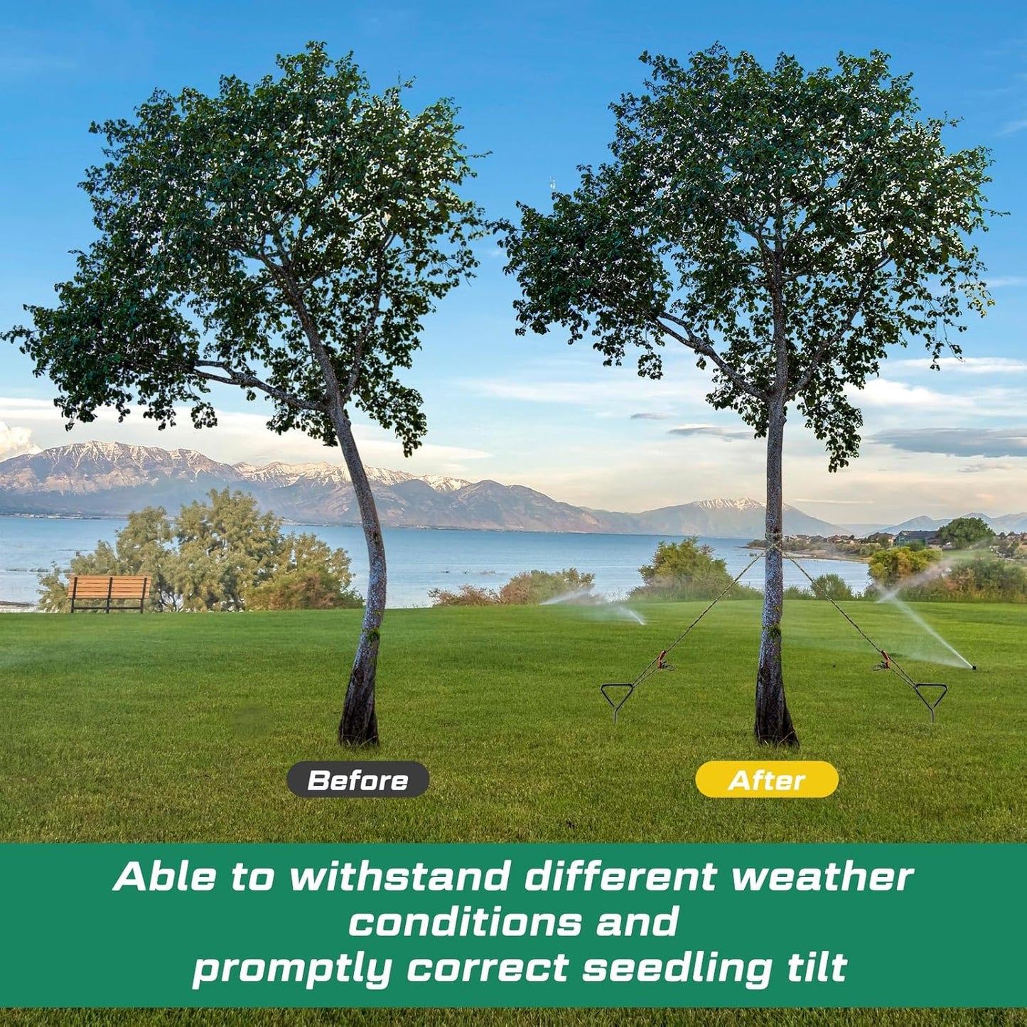 Sintuff 12 Set Tree Stakes and Supports Kit for Anti Hurricane Leaning Trees Straightening Heavy Duty 15. 75" Spiral Tree Stake with 13. 12 ft Ropes and 15. 75'' Support Straps (Army Green)