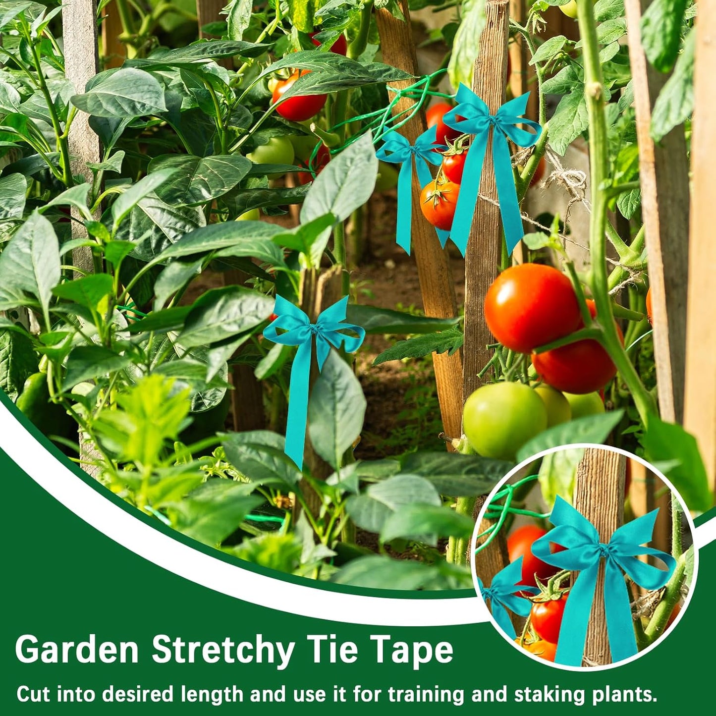 24 Pcs Stretch Tie Tape, 150 Feet x 1/2" Wide Reusable Garden Plant Ties Green Tapes for Plants, Thick Garden Vinyl Stake Ribbon for Branches Flowers Tomatoes Indoor/Outdoor/Greenhouse