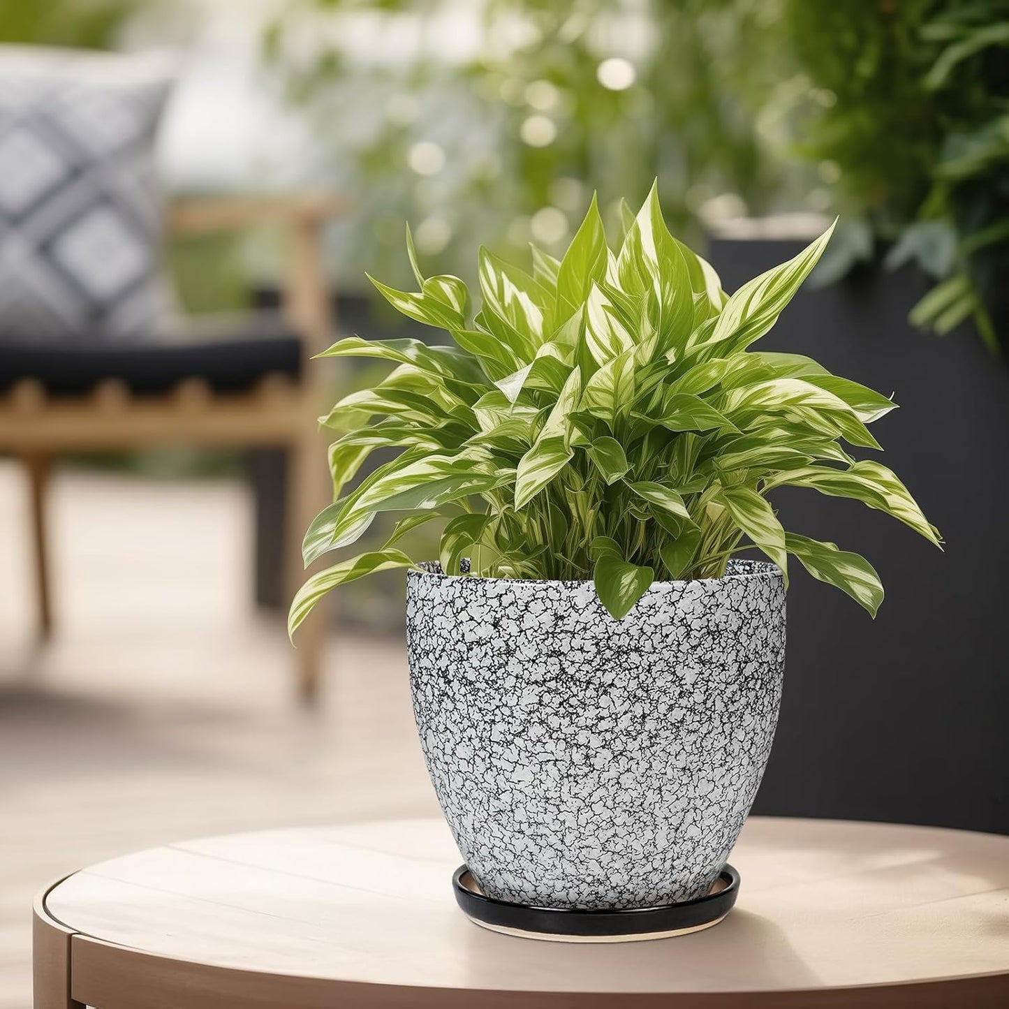 Ceramic Planter - 6 Inch Plant Pot for Indoor Ourdoor Plants, Round Succulent Planter, Decorative Flower Pots with Drainage Hole and Saucer, Home Desk Decor, Housewarming Gifts, White-Black