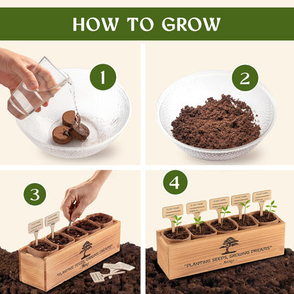 AVERGO Bonsai Tree Kit for Beginners – 5X Unique Japanese Bonzai Trees | Complete Indoor Starter Kit for Growing Bonsai Plants with Tools & Planters – Gardening Gifts for Women & Men