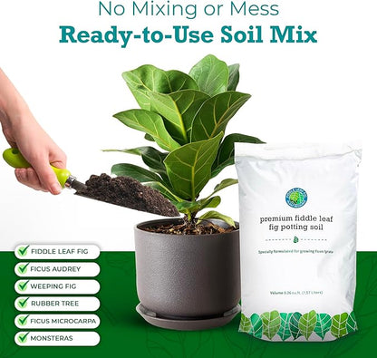 Fiddle Leaf Fig Potting Soil Mix by Fiddle Leaf Fig Plant Resource | Premium Organic Soil with Enhanced Drainage for Fast Growth and Healthy Roots (Large Bag)