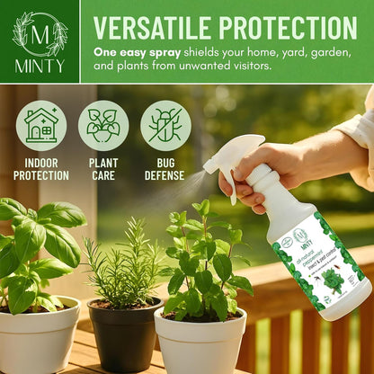 Minty Insect & Pest Control, Powerful & Natural 5% Peppermint Oil Spray for Ants, Spiders, Bed Bugs, Dust Mites, Roaches and More - Indoor and Outdoor Use, 128 fl oz Gallon