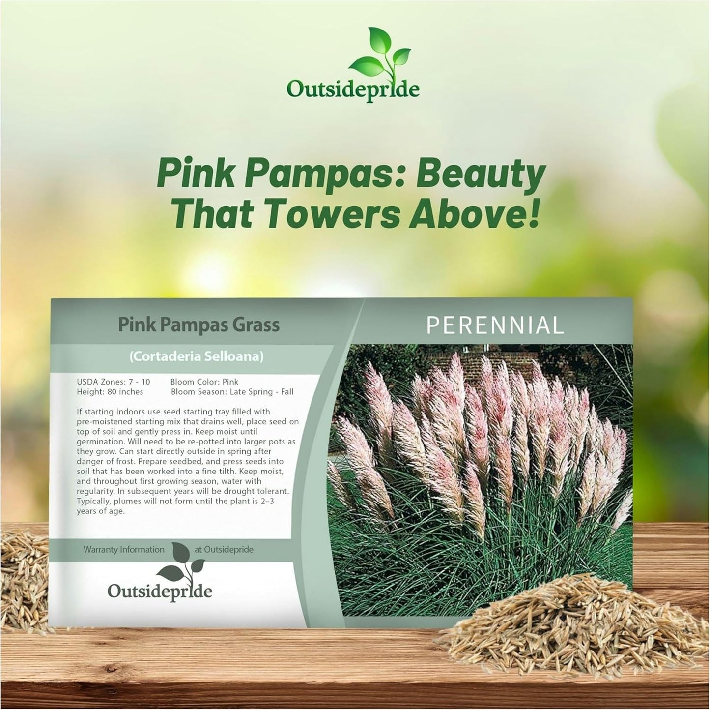 Outsidepride Pink Pampas Grass Seeds – 1,000 Pcs. Perennial, Drought-Tolerant Ornamental Grass for Large Garden Borders, Privacy Landscaping, Xeriscaping, and Low-Maintenance Outdoor Spaces