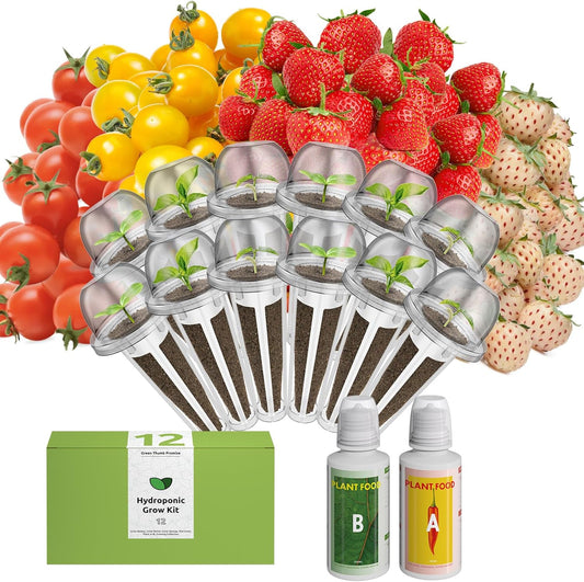 inbloom Fruit Seed Pod Kit for for AeroGarden, Ahopegarden Hydroponics Growing System, 12-Pods (350