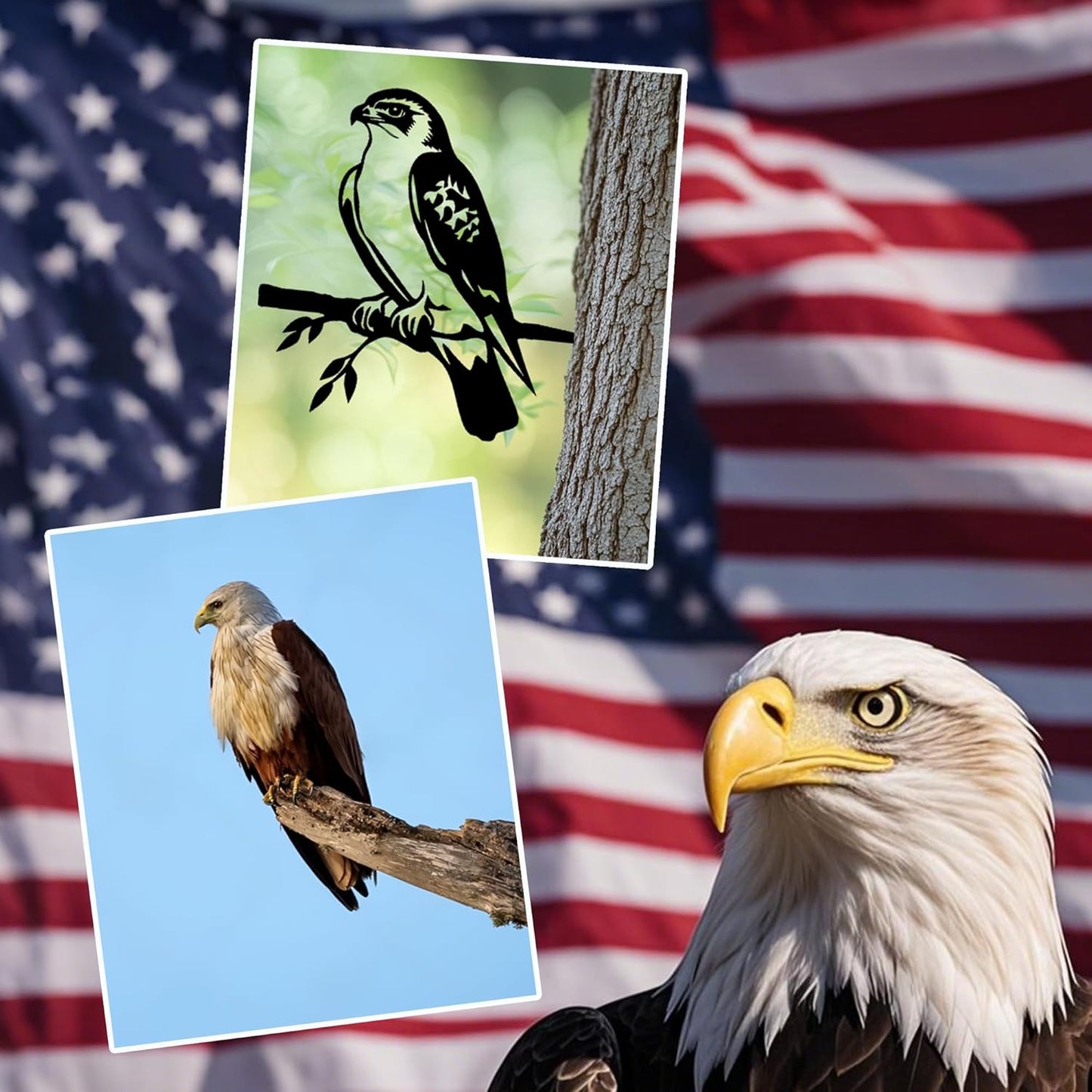 Metal Hawk Bird Decor, Outdoor Garden Statues & Patio Ornament for Outdoor Spaces, Yard Art, Tree Decoration, Memorial Gifts for Women